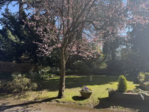 Photo 12- click for photo gallery